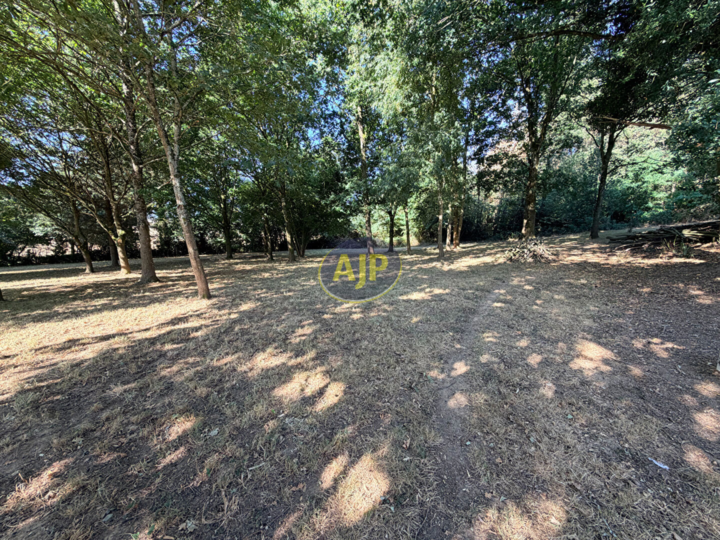 Ensemble  Maison, dépendances sur  1 Hectare 4 de terrain - photo 10