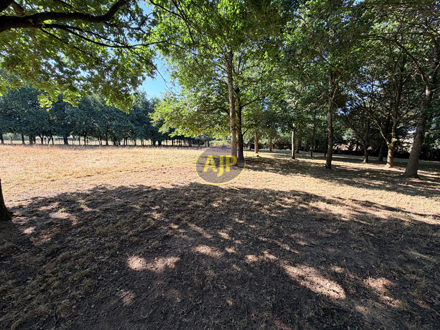 Ensemble  Maison, dépendances sur  1 Hectare 4 de terrain - photo 11