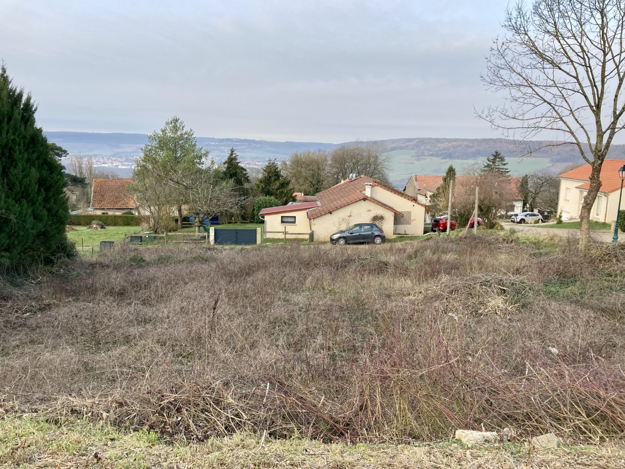 Agence immobilière de ALCYON IMMOBILIER Ancy-sur-moselle - ALCYON IMMOBILIER