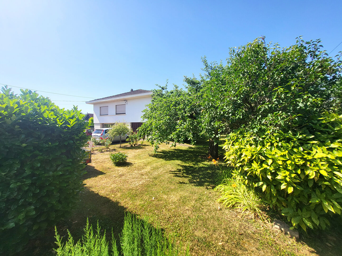 Agence immobilière de ALCYON IMMOBILIER Ancy-sur-moselle - ALCYON IMMOBILIER