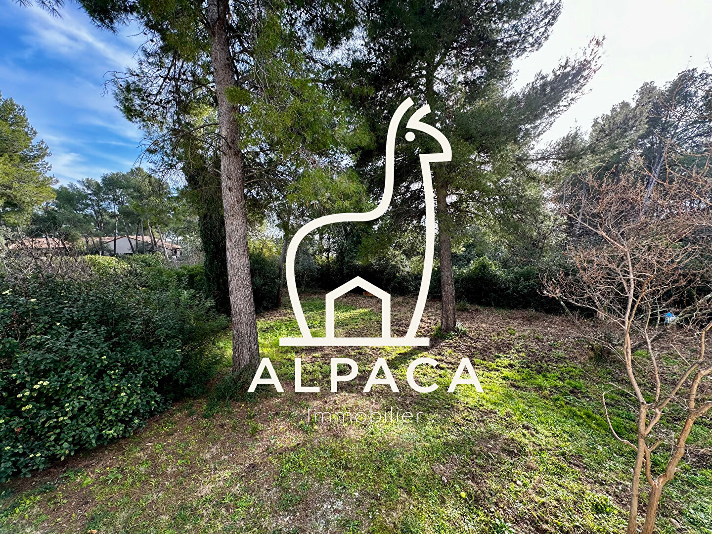 Photo Villa Saint-clément 5 pièces 232 m² piscine 1700 m² jardin + studios indépendants image 2/6