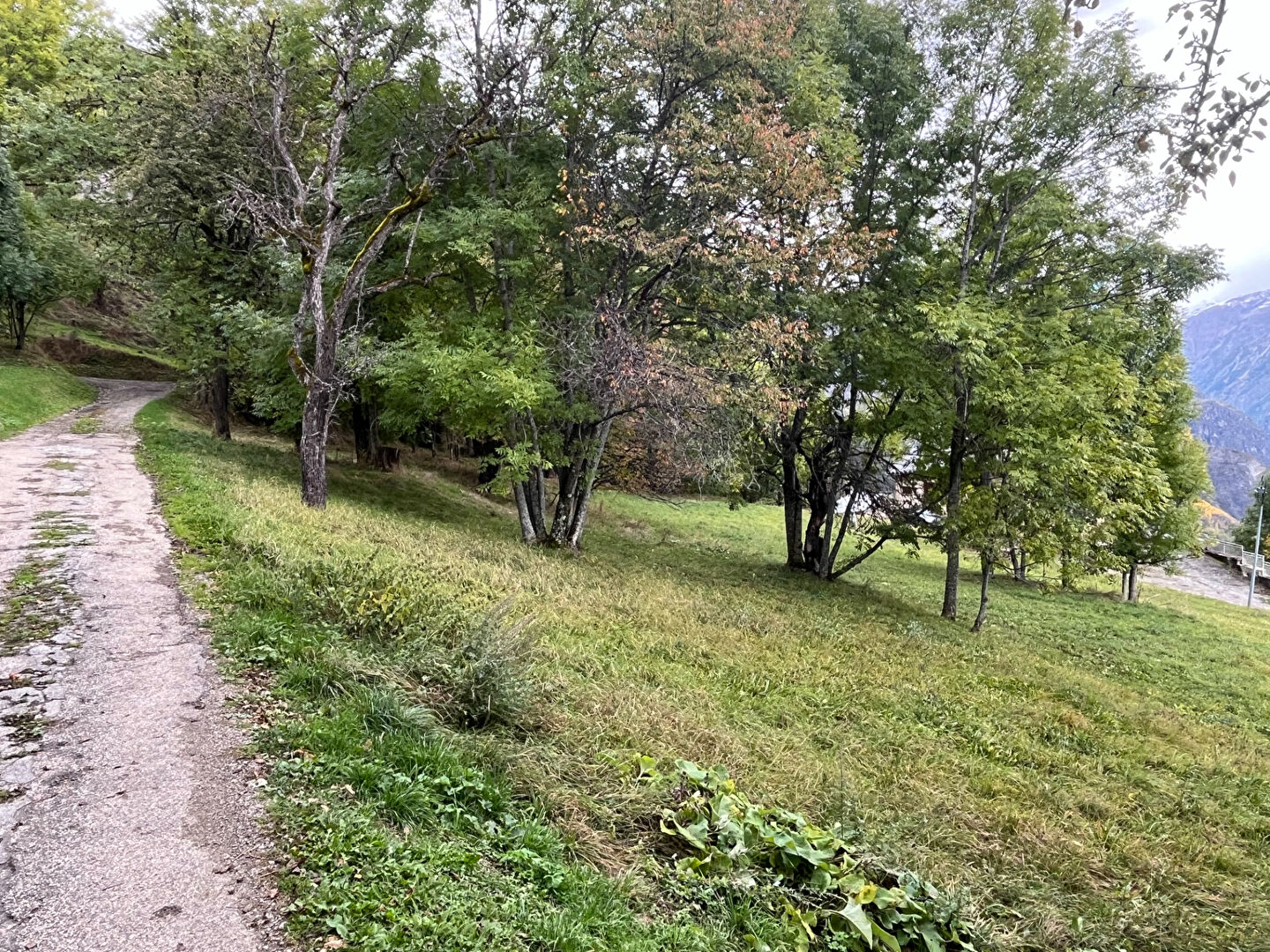 Photo Terrain Puy le Bas image 6/6