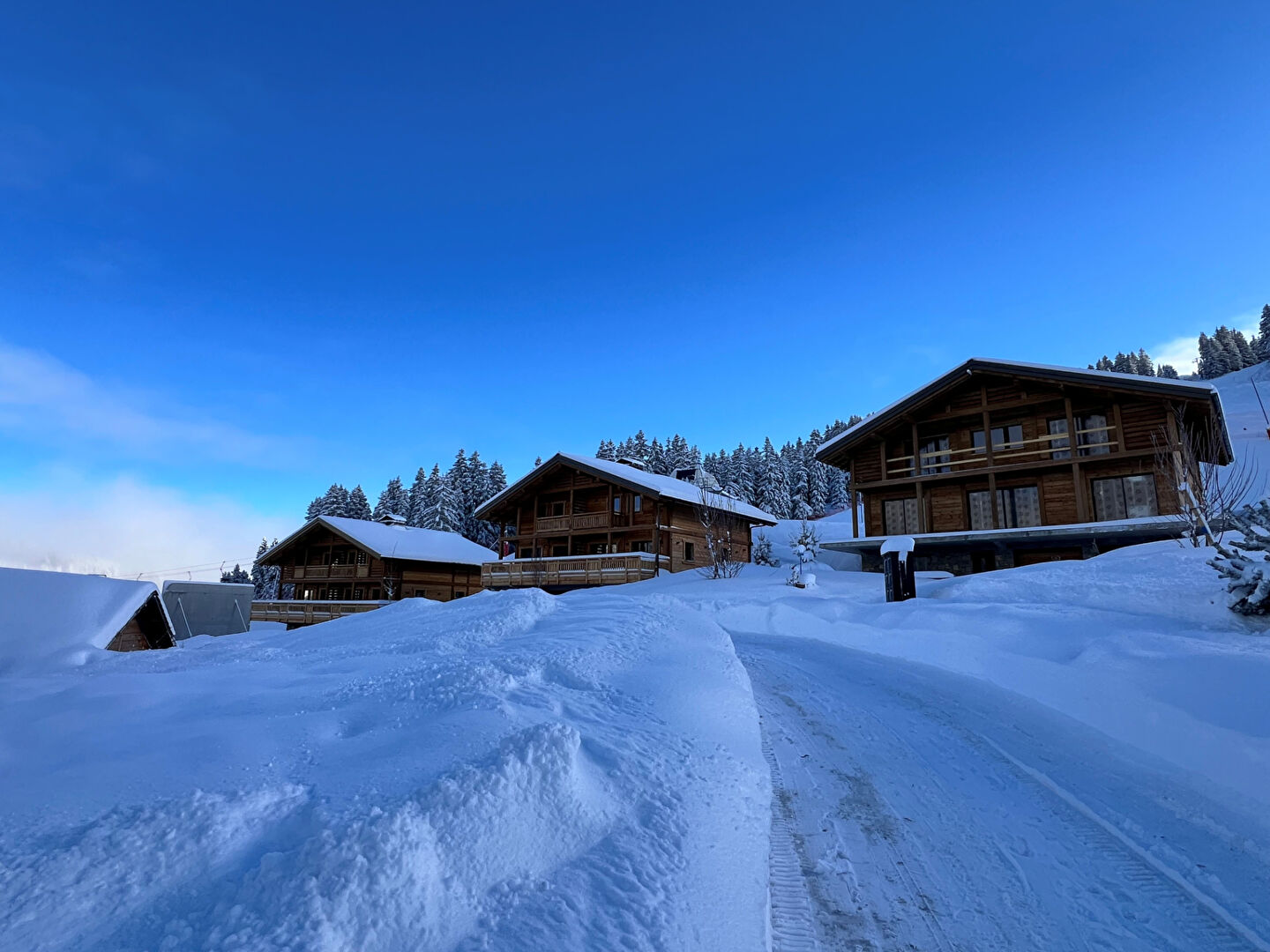 Photo CHALET neuf type 6 pièces (5 chambres) LA CROIX FRY MANIGOD skis aux pieds image 2/3