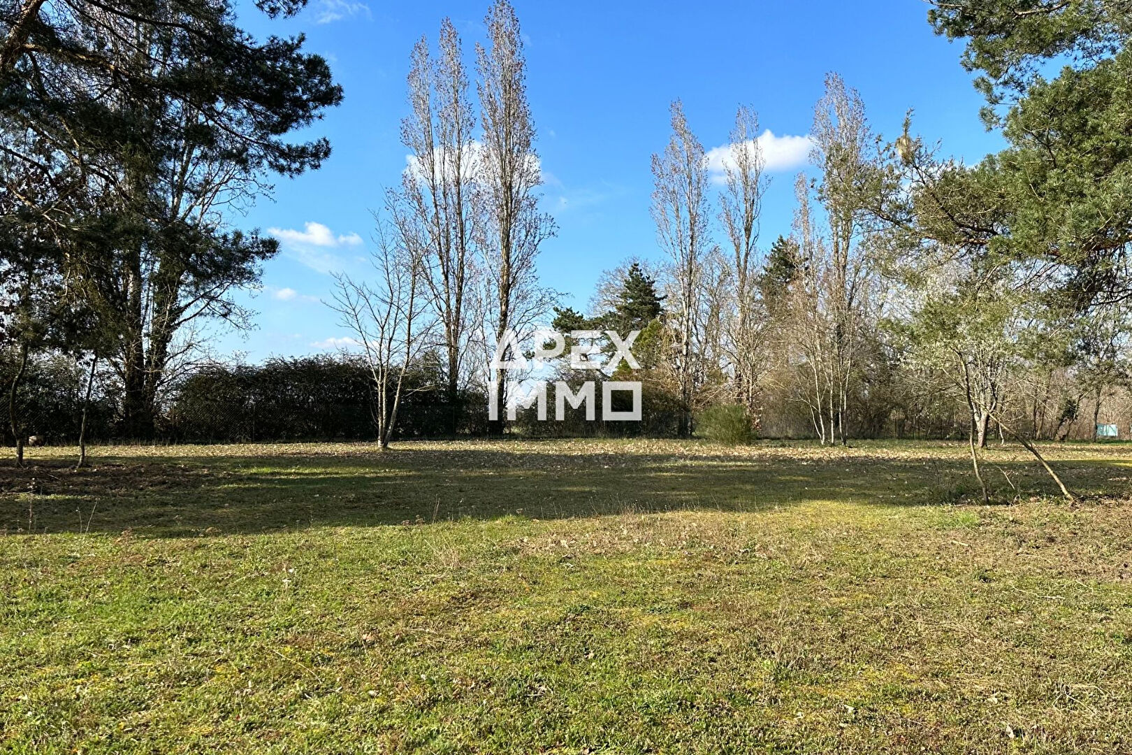 Photo Terrain Saint Denis De L Hotel 3113 m2 image 1/3