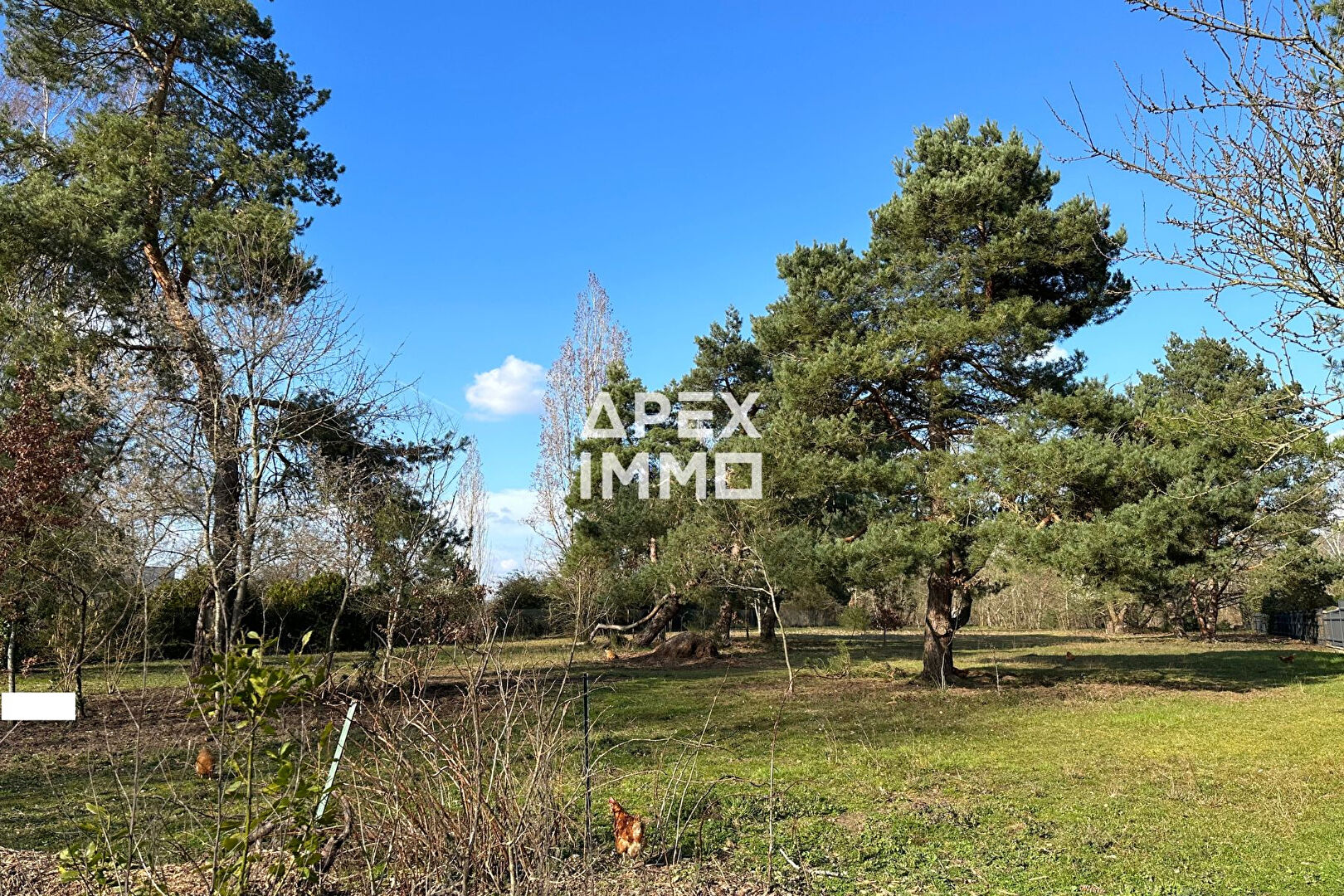 Photo Terrain Saint Denis De L Hotel 3113 m2 image 2/3