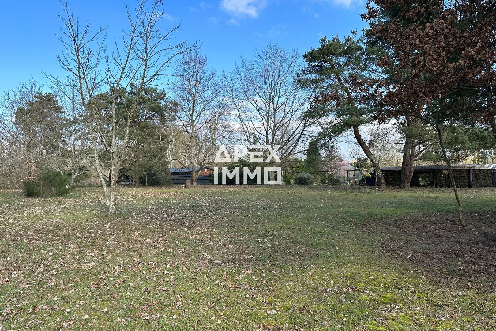 Photo Terrain Saint Denis De L Hotel 3113 m2 image 3/3