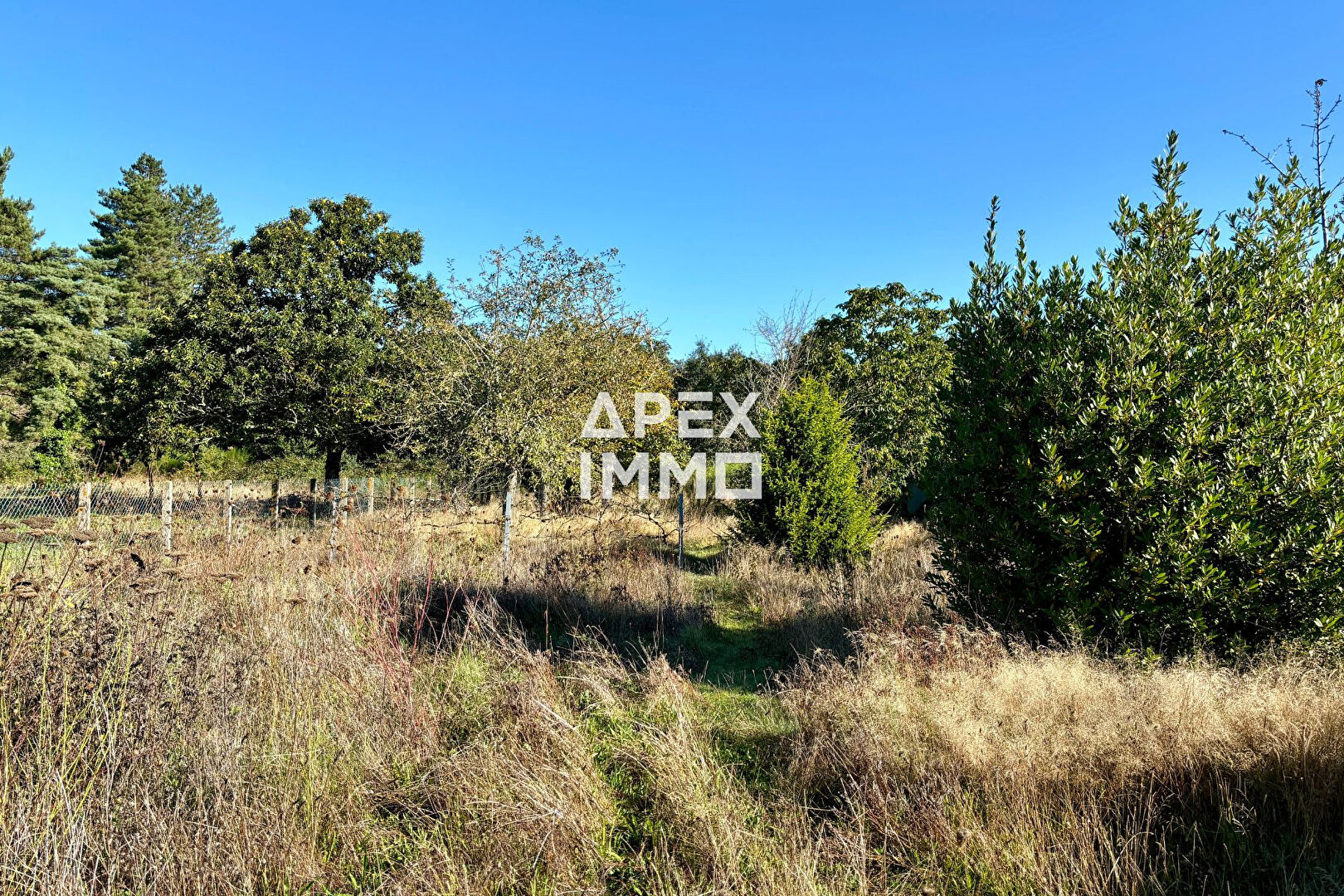 Photo Terrain  avec garage existant Saint Denis De L Hotel 1073 m2 image 1/3