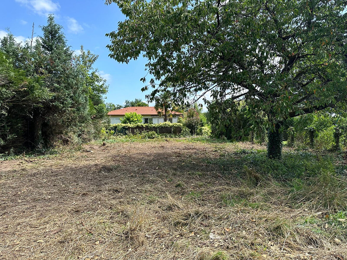 Terrain Saint Cyr En Val