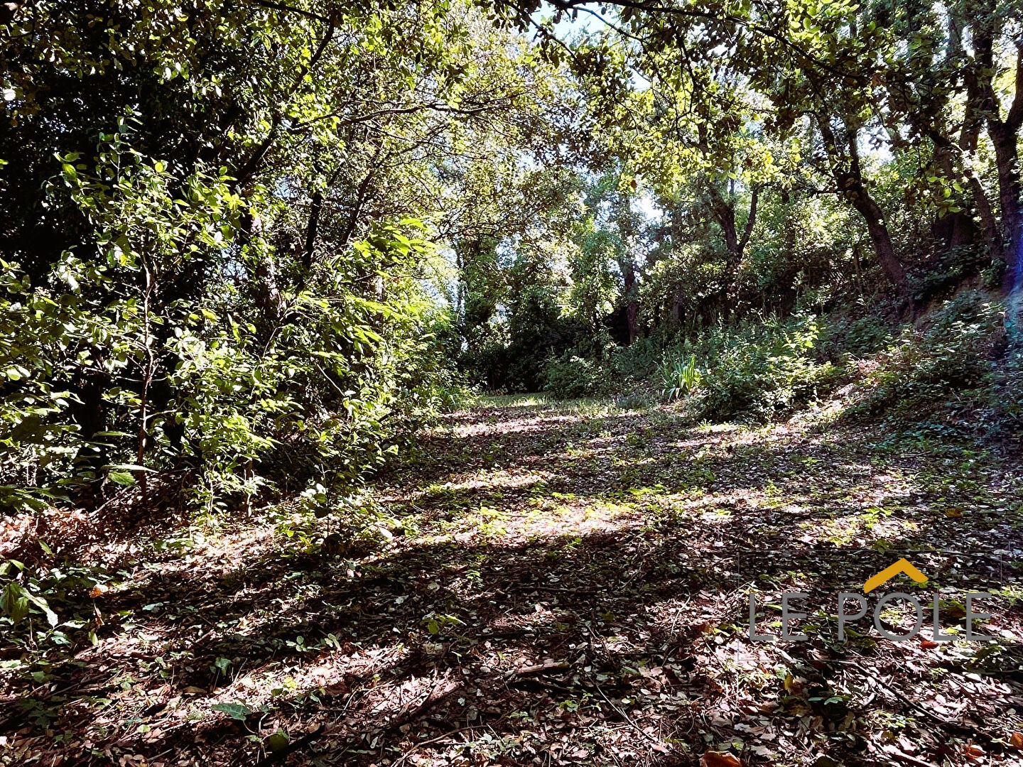 Photo Belle Maison sur Terrain Piscinable image 6/6