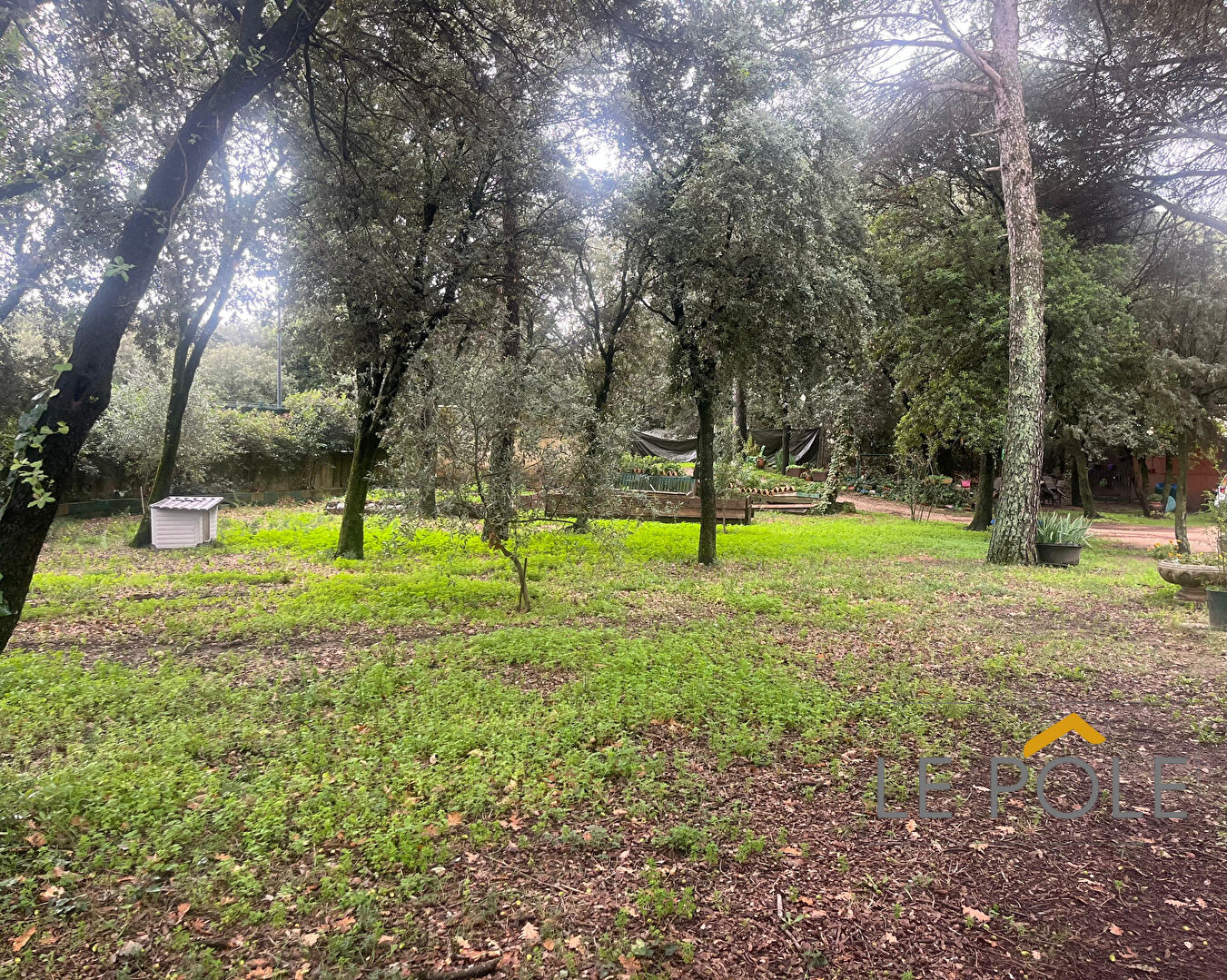 Photo Un terrain rare à Orange : Emplacement, Calme et potentiel. image 2/4