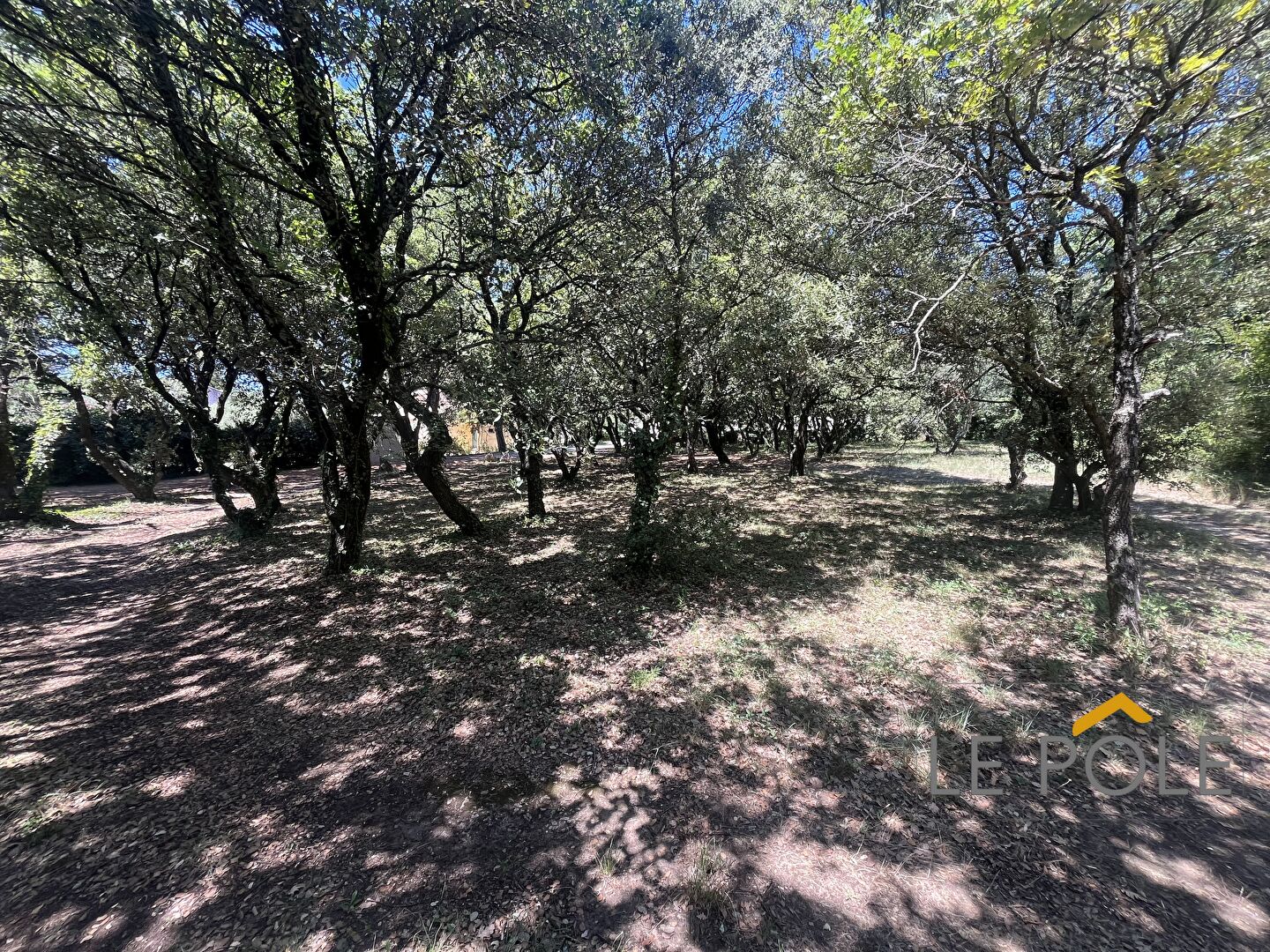 Agence immobilière de AREA IMMOBILIER