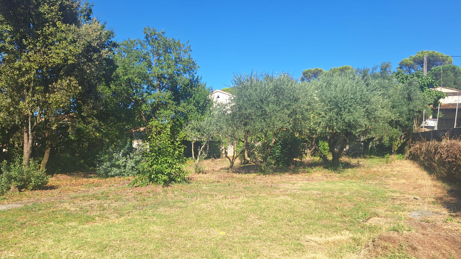 Agence immobilière de AREA IMMOBILIER