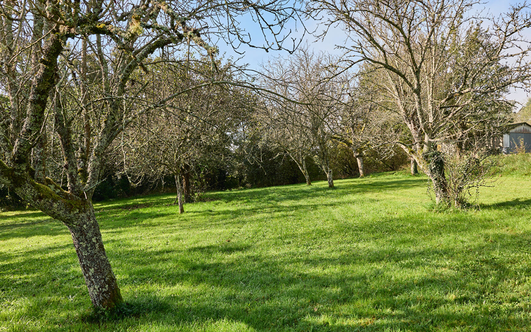 Agence immobilière de ARRIERE-COUR Besancon