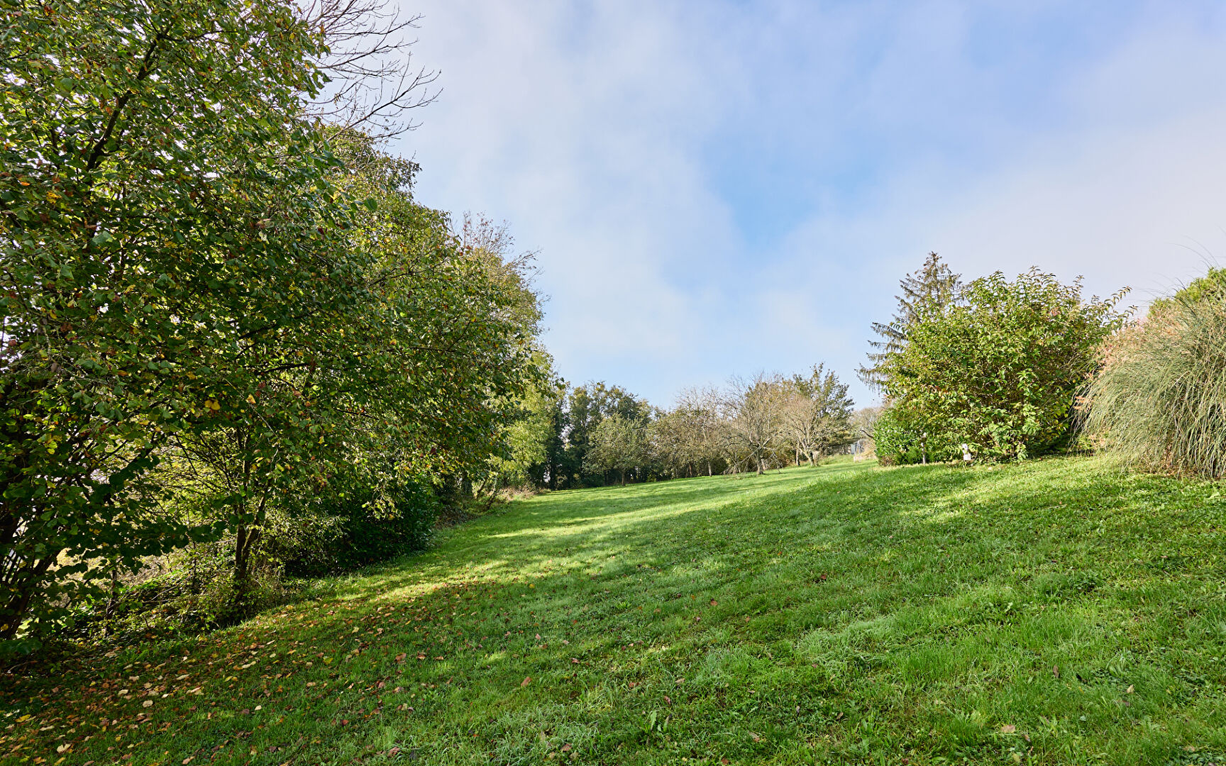 Photo UNE VASTE PROPRIÉTÉ PRÈS DE BESANÇON image 3/6