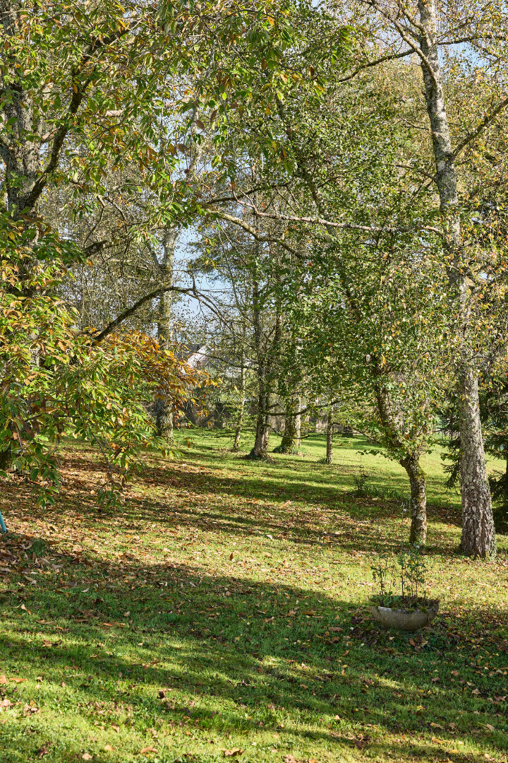 Photo UNE VASTE PROPRIÉTÉ PRÈS DE BESANÇON image 6/6