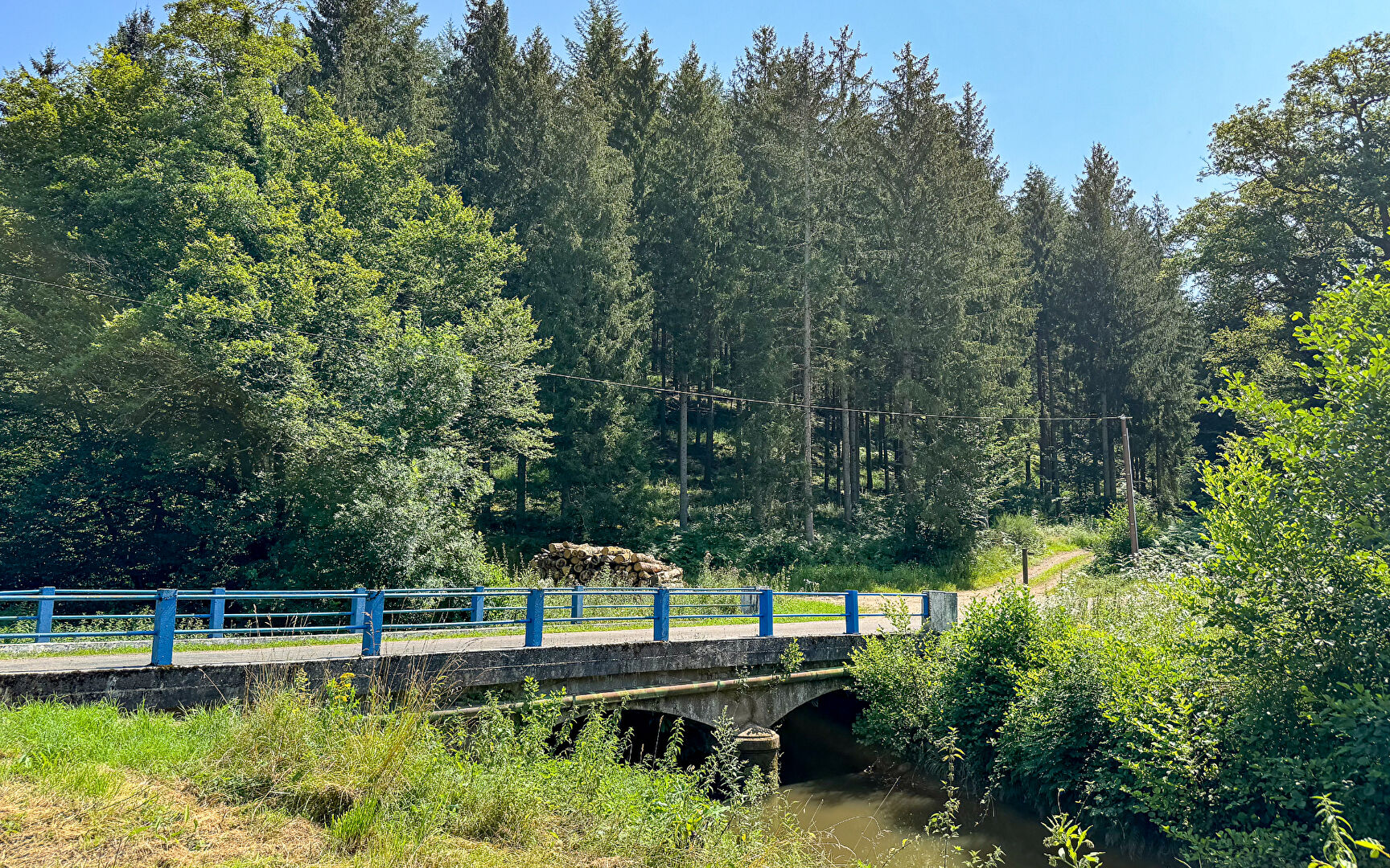 Photo ANCIENNE SCIERIE AU MILIEU DE LA FORÊT image 2/6