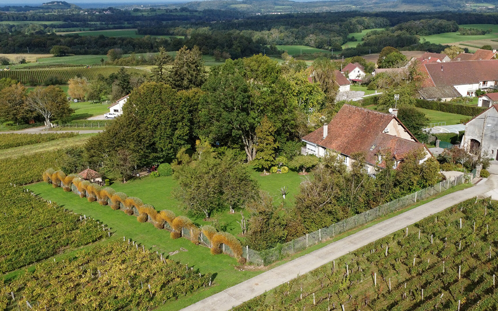 Photo MAISON VIGNERONNE À VOITEUR image 2/6