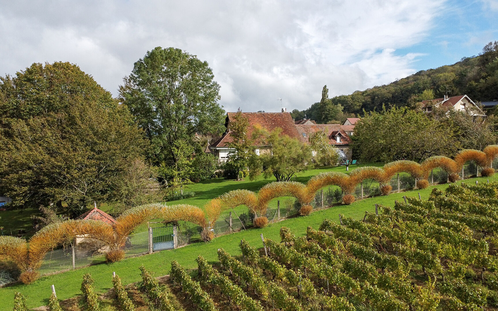 Photo MAISON VIGNERONNE À VOITEUR image 3/6