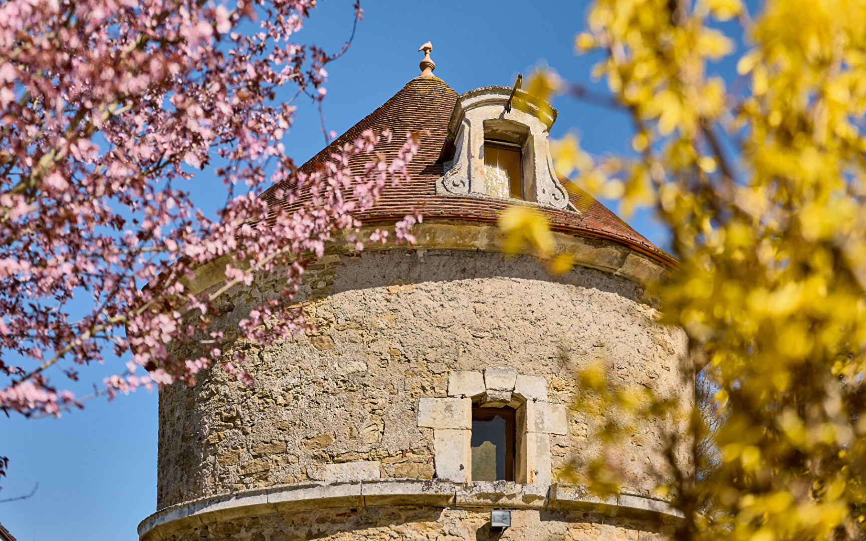 Photo Villa d'architecte à Venoy image 4/6