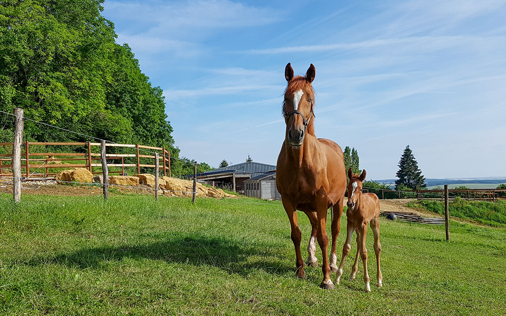 Agence immobilière de ARRIERE-COUR Besancon