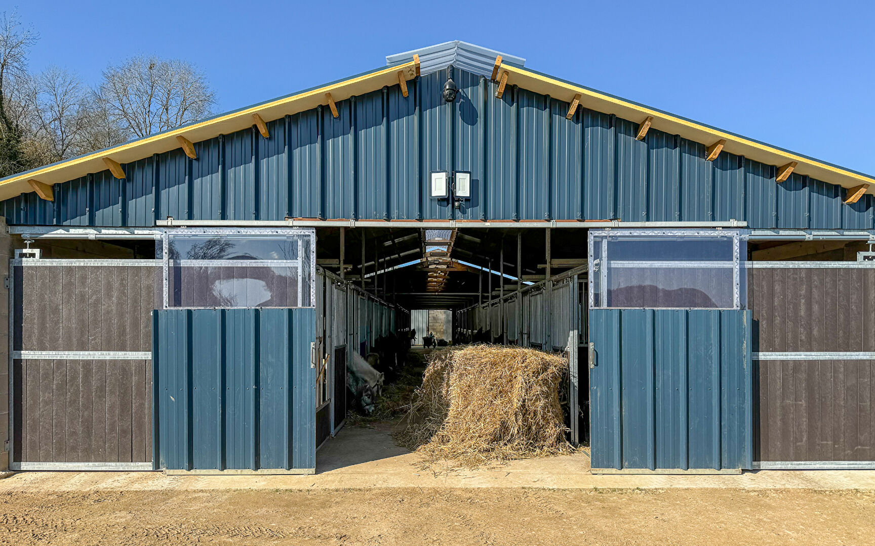 Photo PROPRIETE EQUESTRE à JUVILLE image 3/6