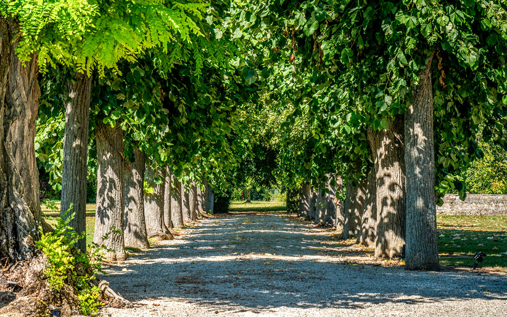 Photo Manoir proche de Chaumont image 3/6