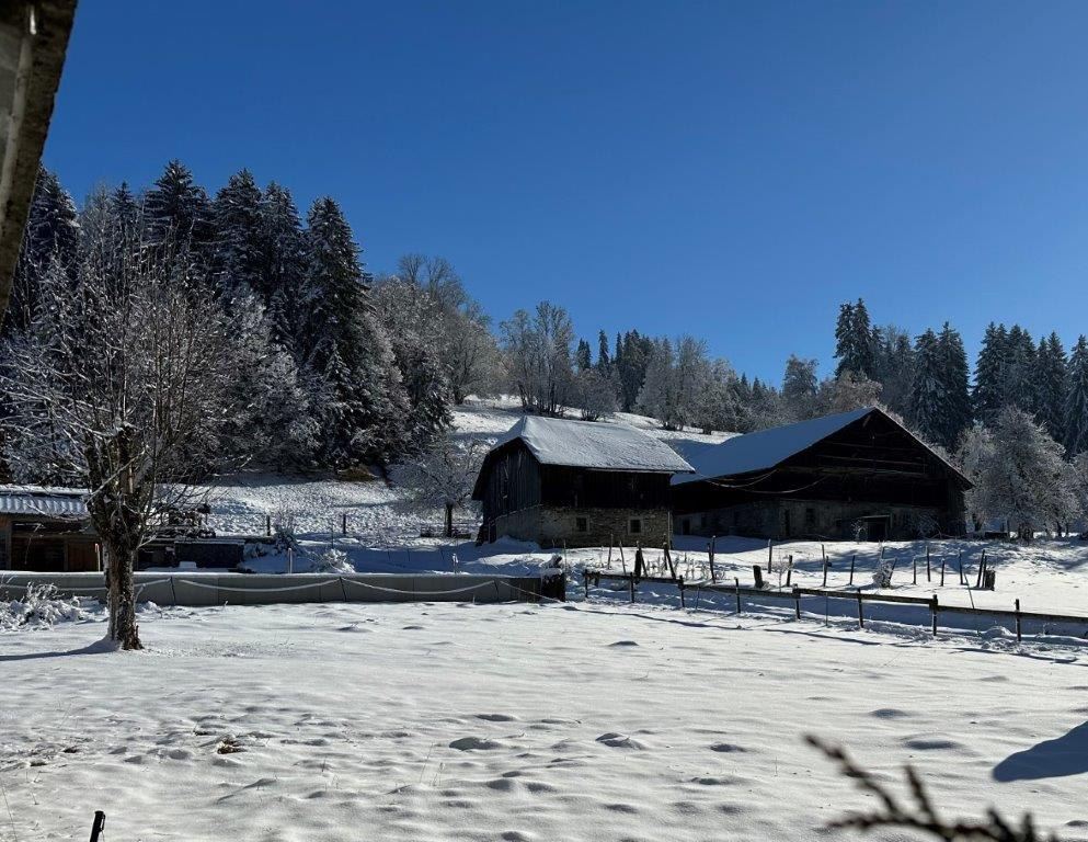 Photo MEGEVE Chalet de 360 m² sur terrain 790 m² en cours de réalisation image 4/6