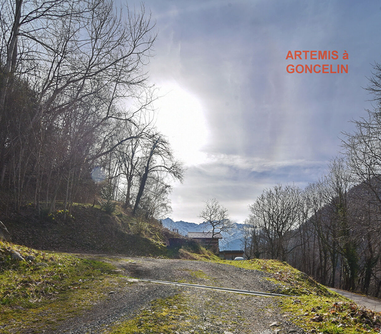 Agence immobilière de ARTÉMIS IMMOBILIER CONSEIL Goncelin