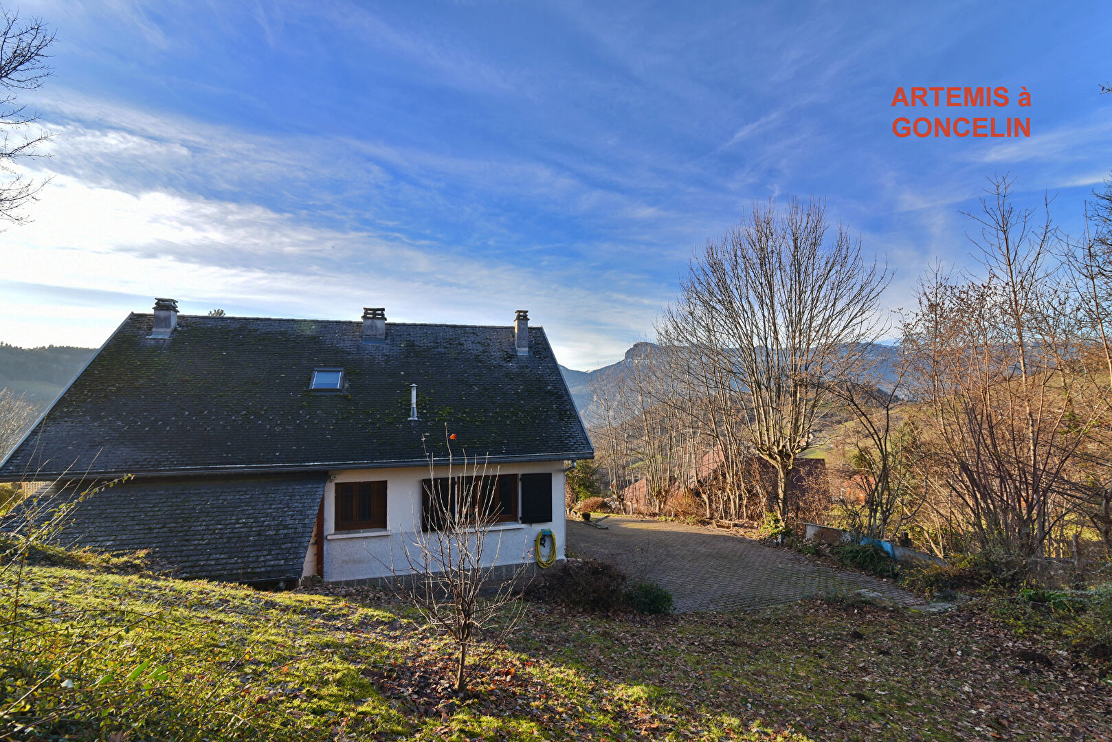 Agence immobilière de ARTÉMIS IMMOBILIER CONSEIL Goncelin