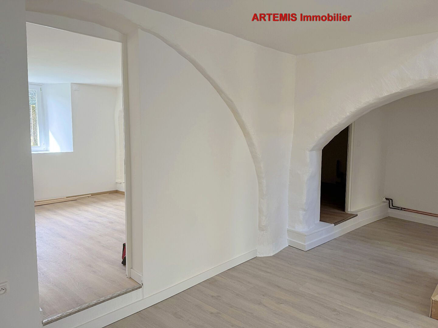 Agence immobilière de ARTÉMIS IMMOBILIER CONSEIL Goncelin