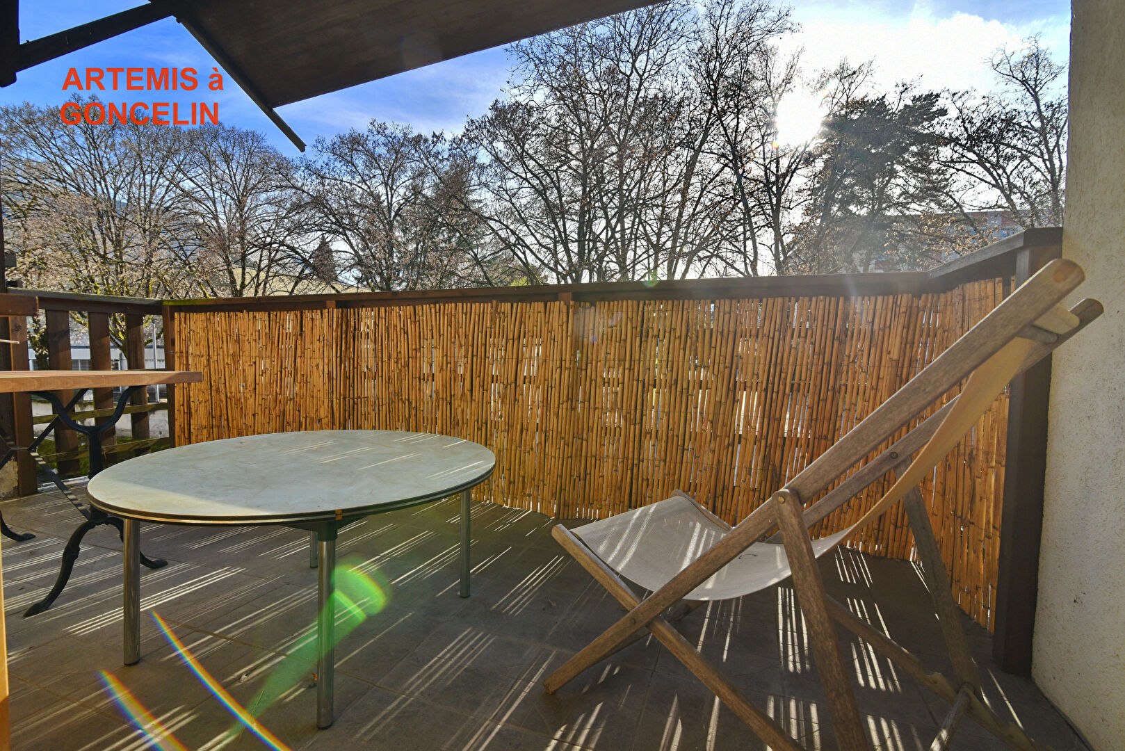 Agence immobilière de ARTÉMIS IMMOBILIER CONSEIL Goncelin