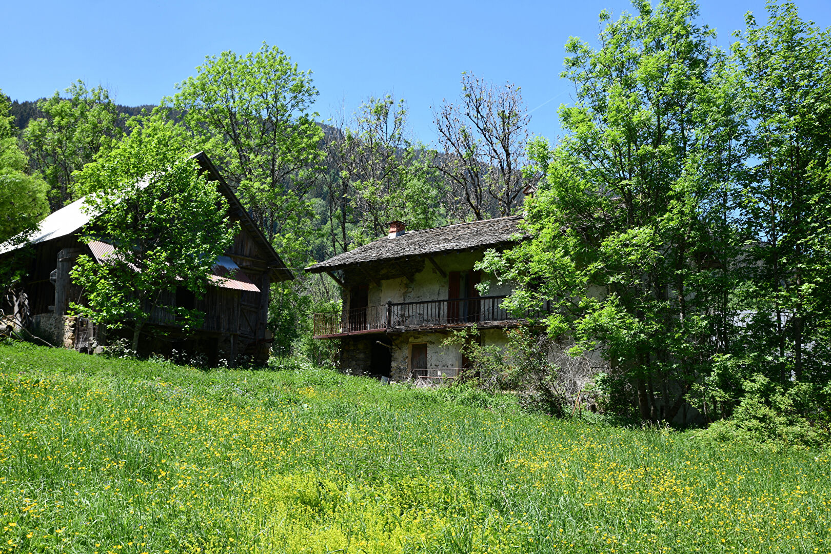 Agence immobilière de ARTÉMIS IMMOBILIER CONSEIL Goncelin