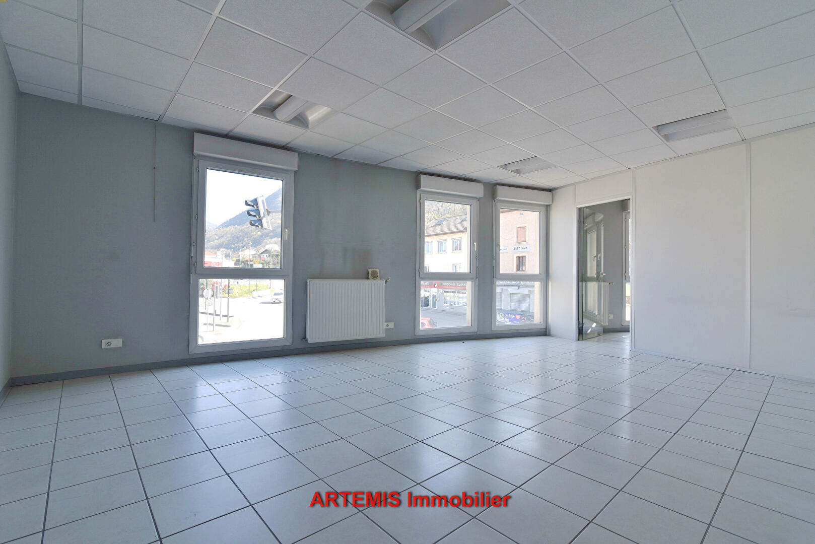 Agence immobilière de ARTÉMIS IMMOBILIER CONSEIL Goncelin