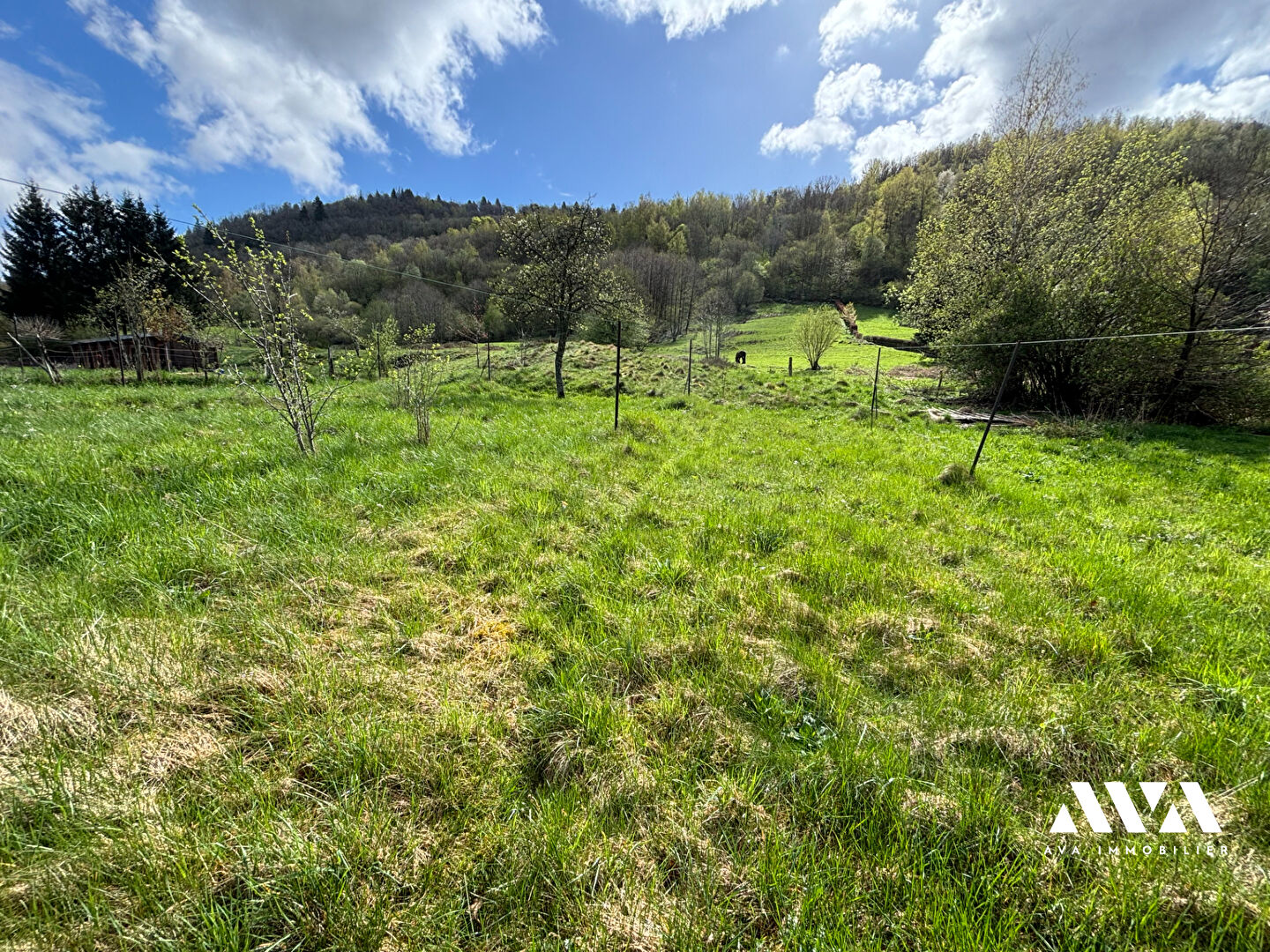 Agence immobilière de MENTOR - SIEGE - AVA IMMOBILIER