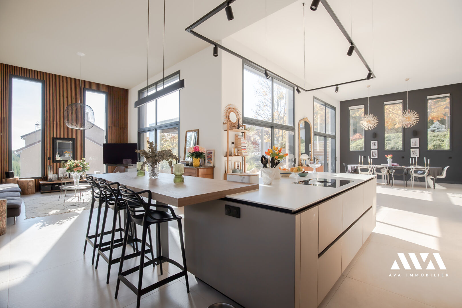 Photo Maison Dommartemont 6 pièce(s) 230 m2 image 4/6