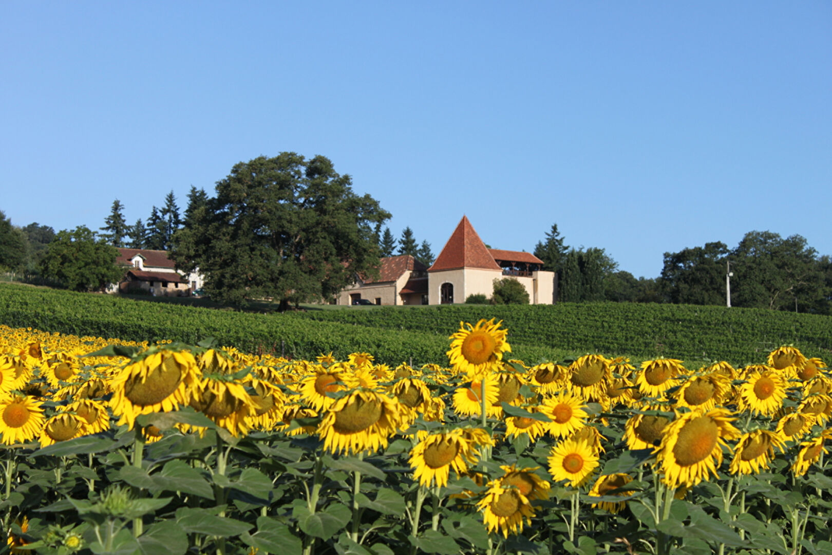 Photo NORD BÉARN / DOMAINE VITICOLE AOP 11Ha / DÉPENDANCES image 2/6