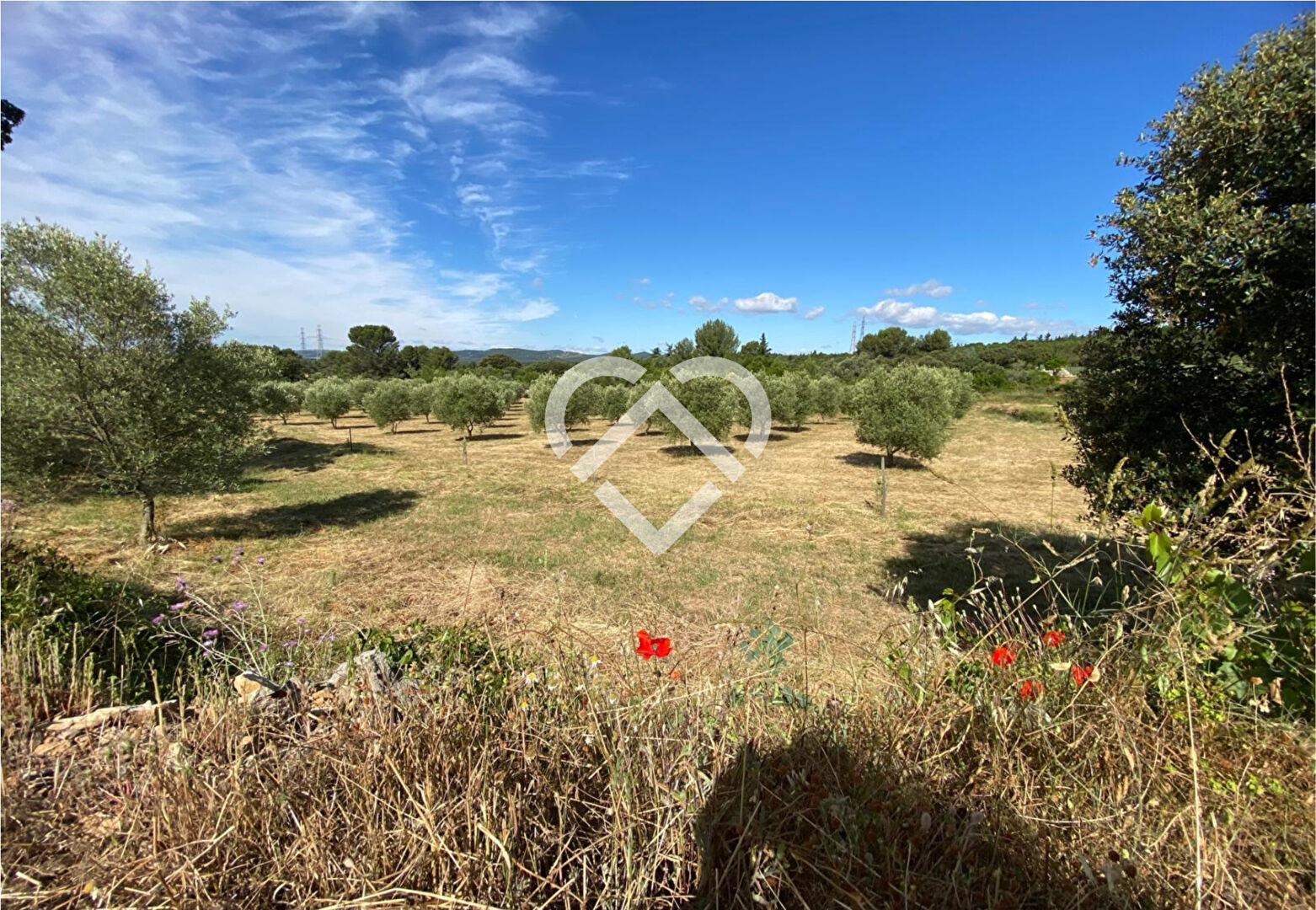 Terrain en zone naturelle et forestière Pignan à vendre (Ouest de Montpellier)
