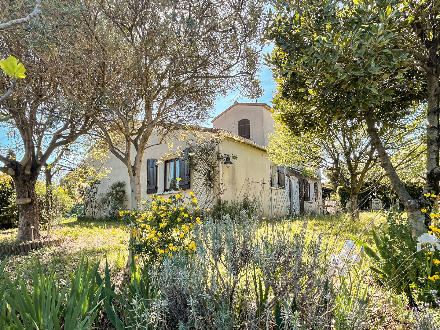 Agence immobilière de Avenue Immobilier Montpellier - Le Crès