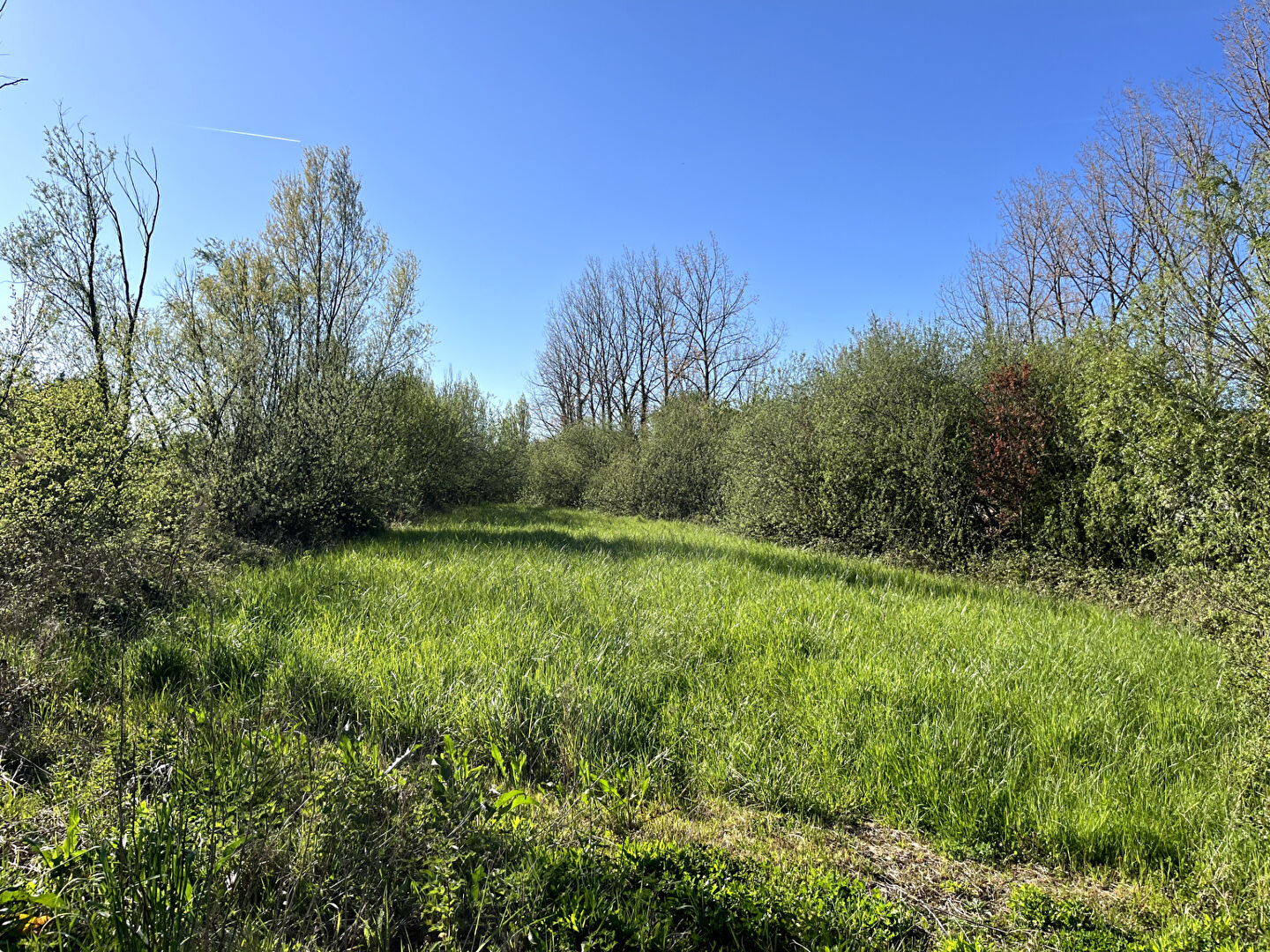 Photo Terrain Le Perrier 2023 m2 image 3/3