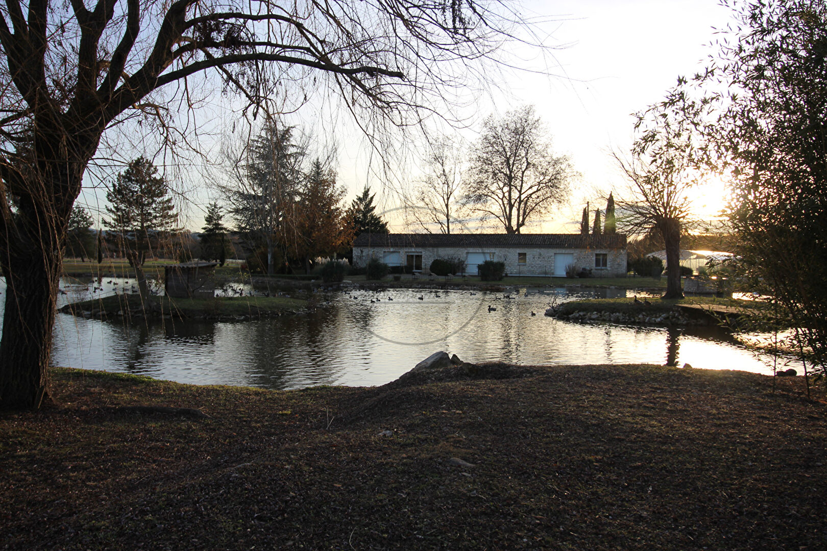 Photo Magnifique propriété au calme avec lac image 3/6
