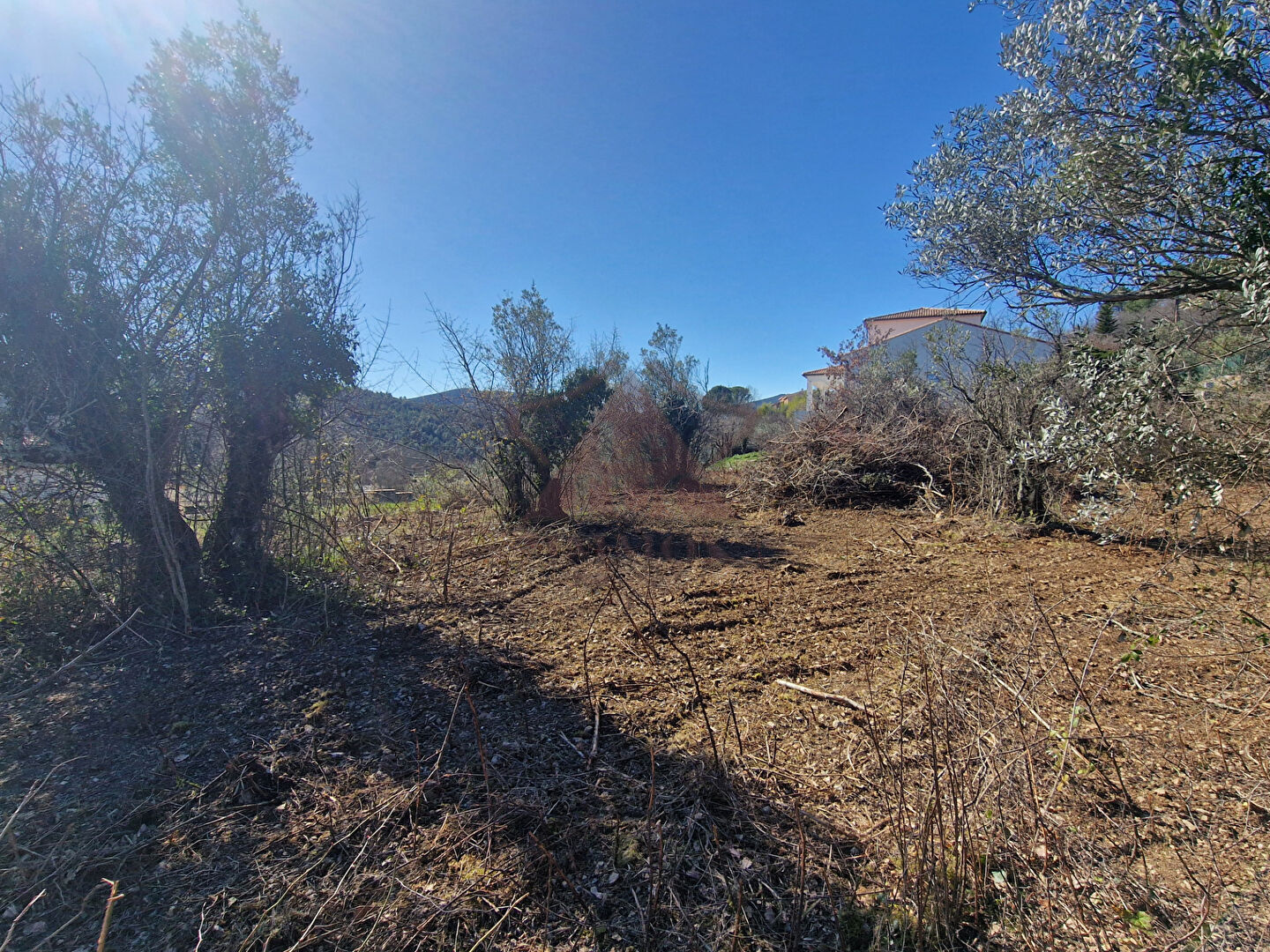 Photo Terrain Meyrannes 868 m2 image 3/3