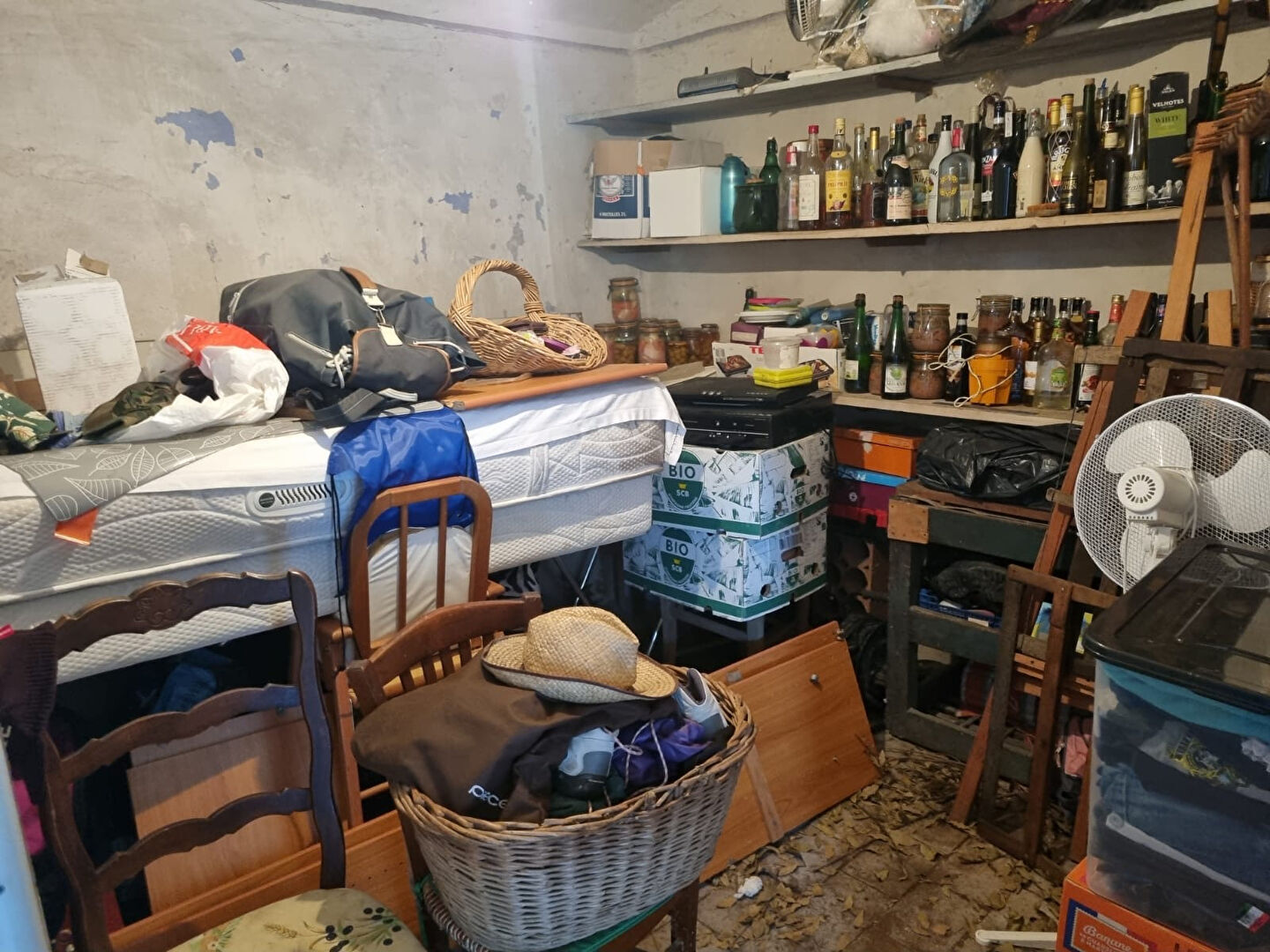 Photo MAISON AU CALME image 6/6