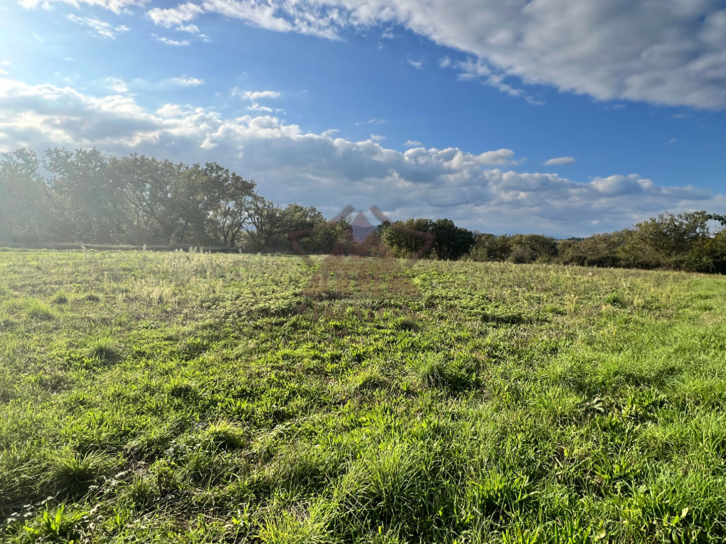 Photo Grand terrain plat image 2/3