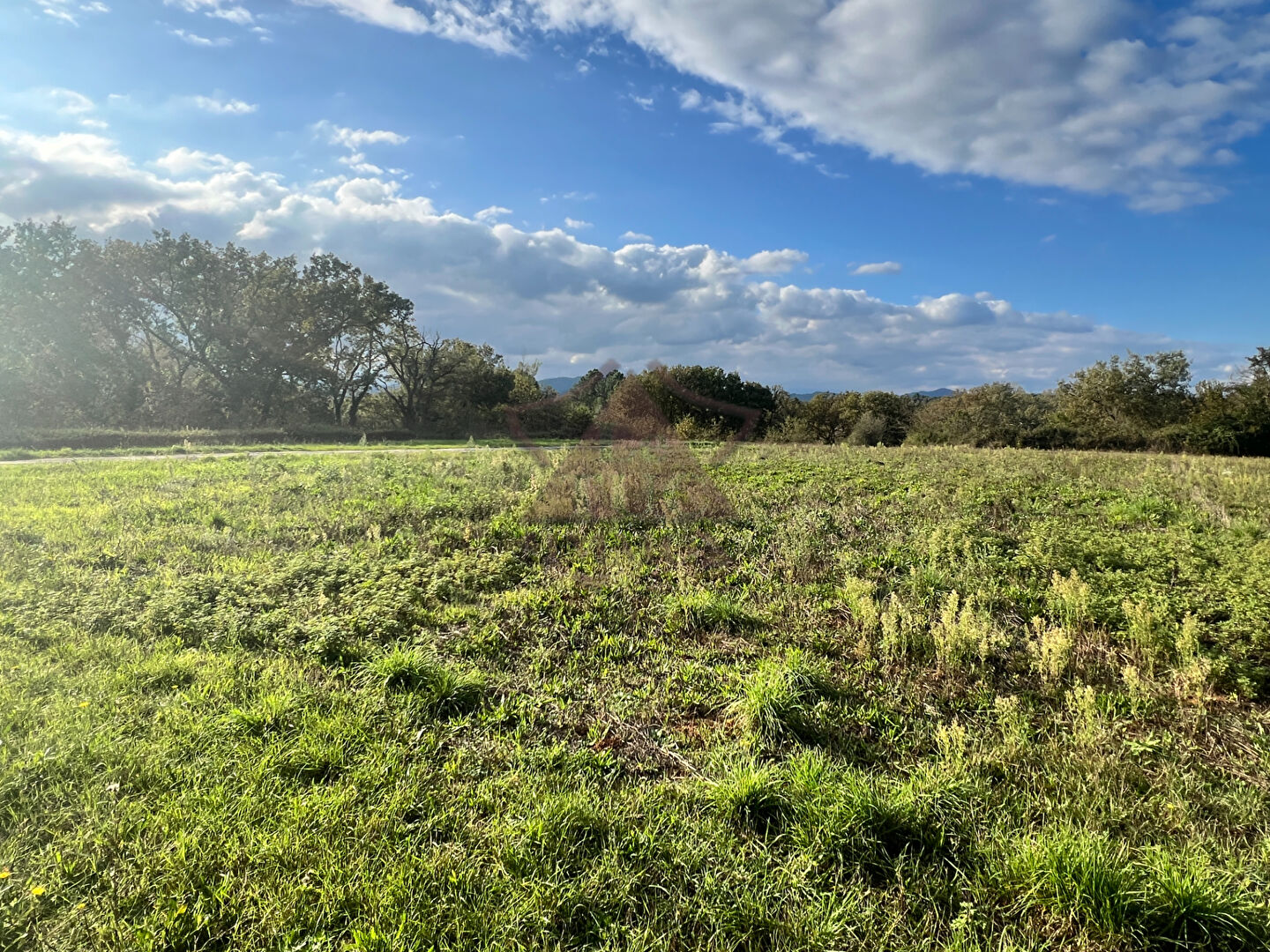 Photo Grand terrain plat image 3/3