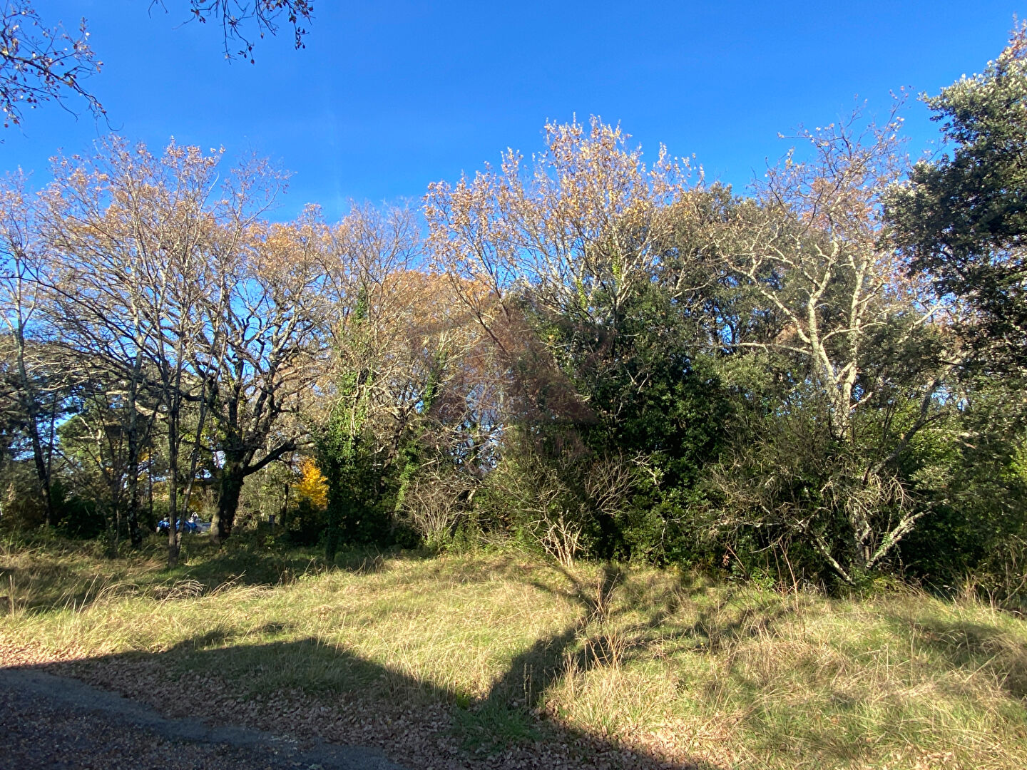 Terrain sur les hauteurs 1040 m2