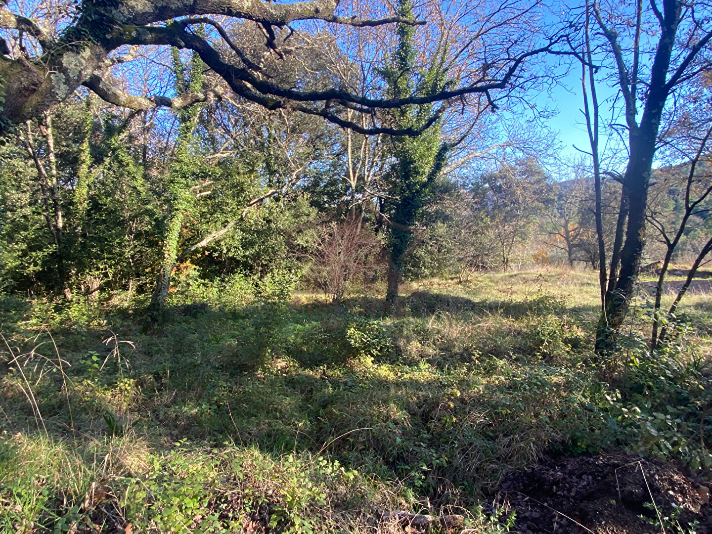 Photo Terrain sur les hauteurs 1040 m2 image 2/3