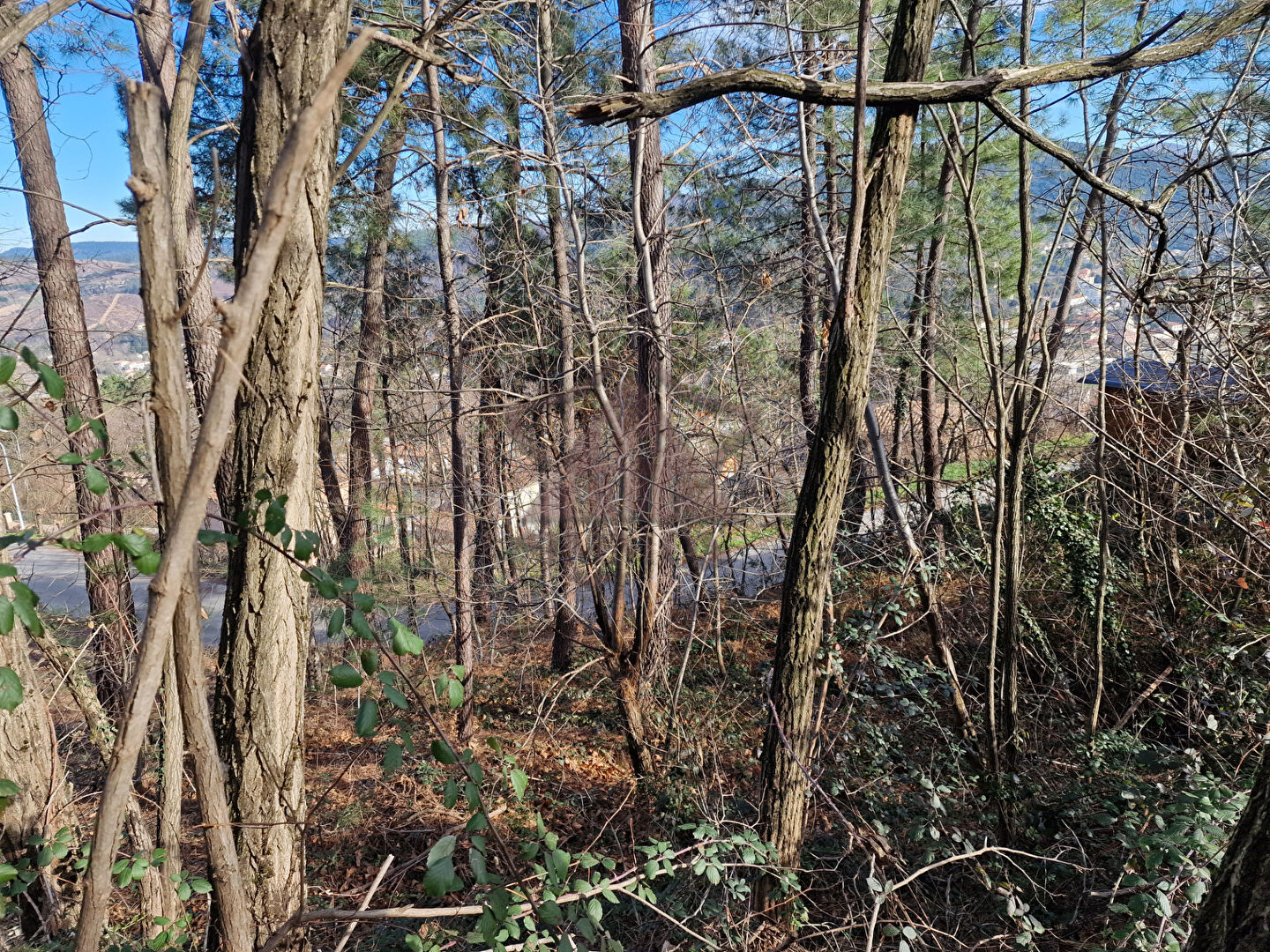 Photo Terrain Bessèges 800 m2 image 1/2