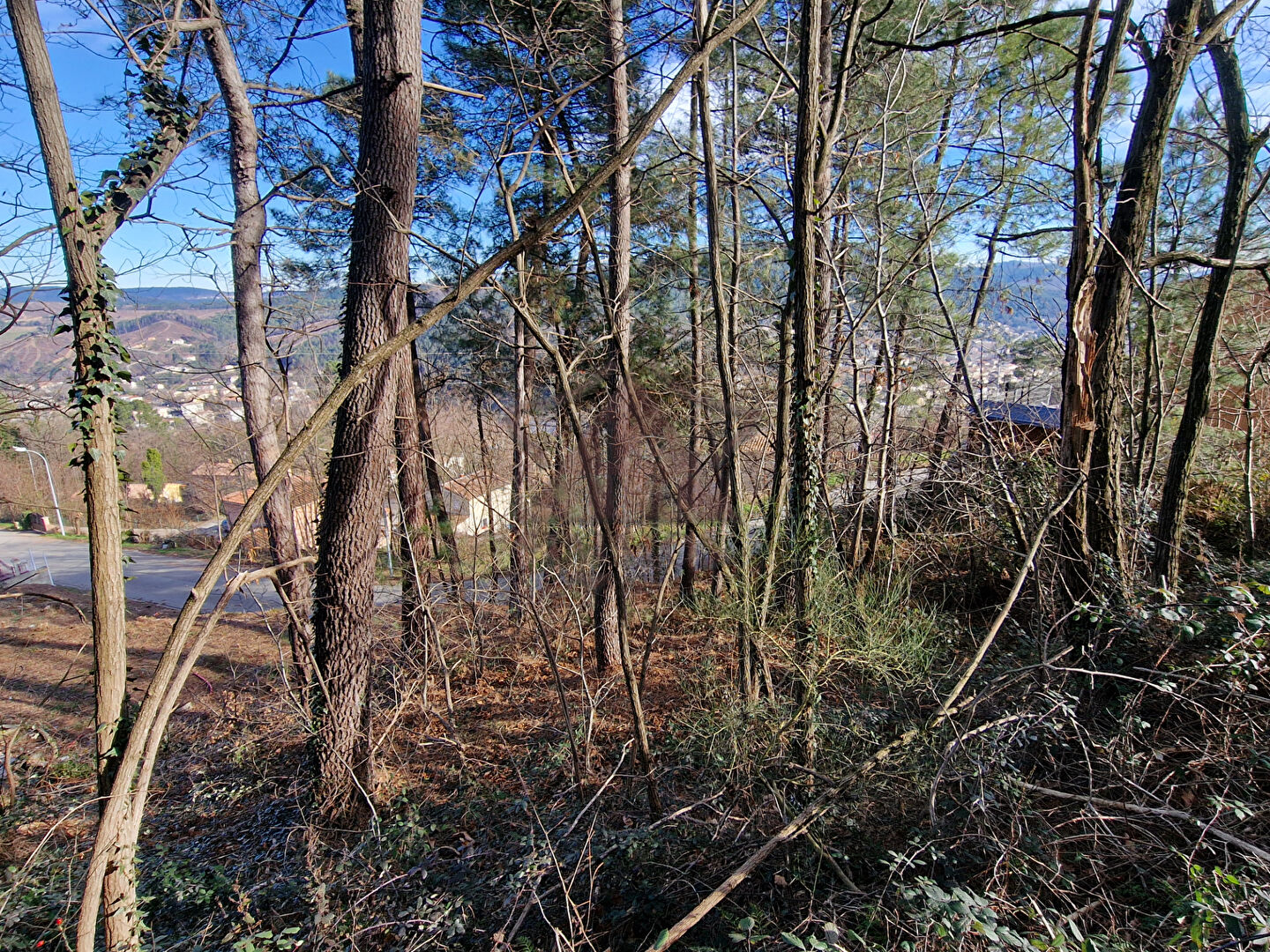 Photo Terrain Bessèges 800 m2 image 2/2