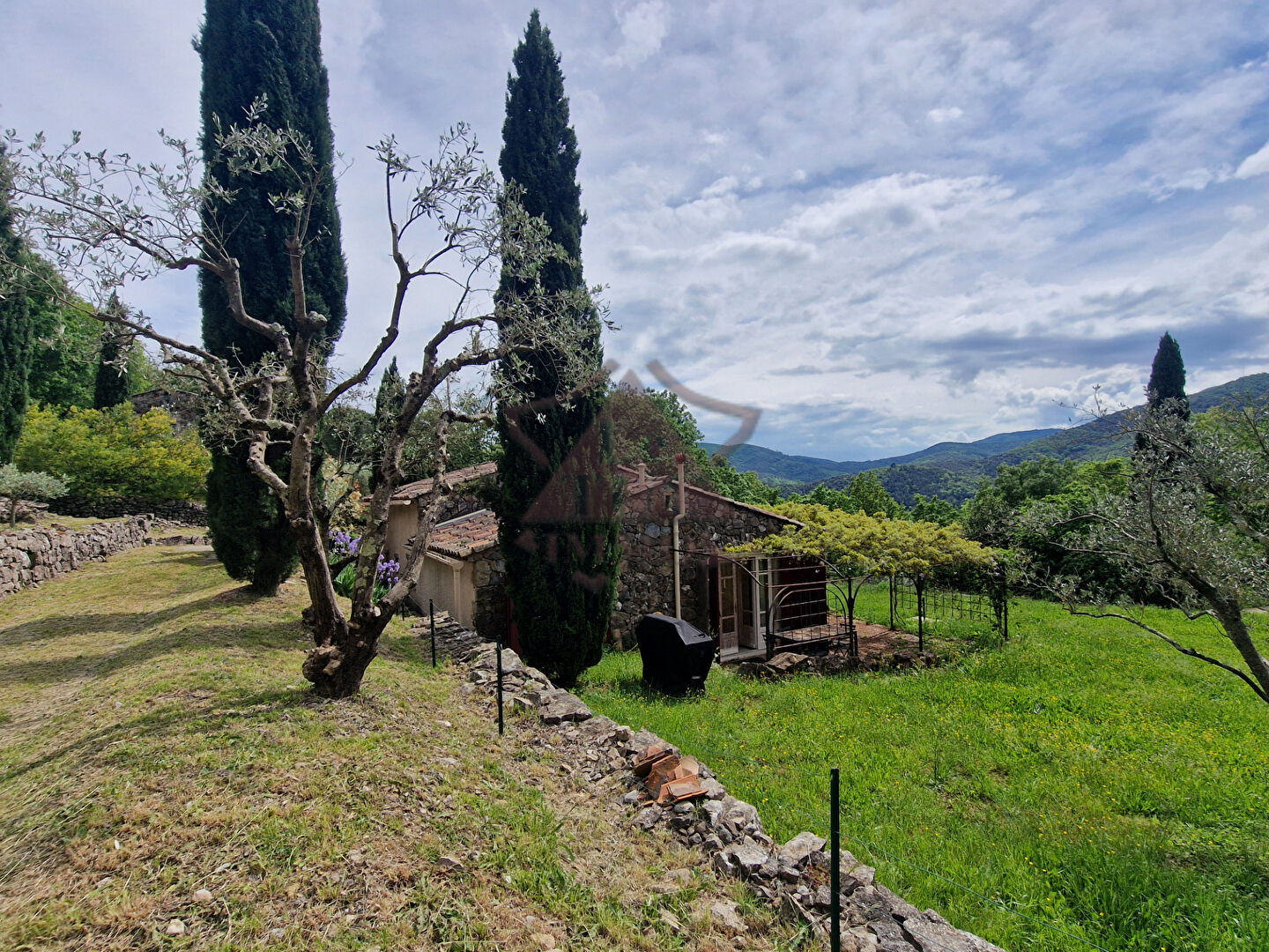 Photo COUP DE COEUR image 2/6