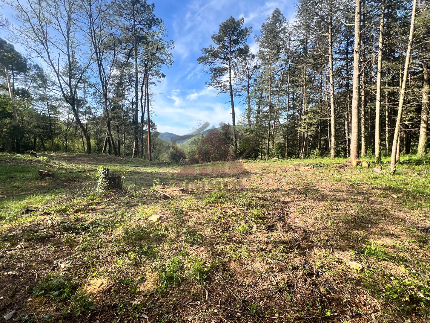 Photo Terrain Gagnieres image 1/6